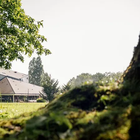 Western Le Bois De La Marche 리귀즈