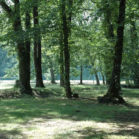 Hotel Western Le Bois De La Marche 3*