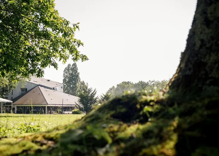 Western Le Bois De La Marche Ligugé