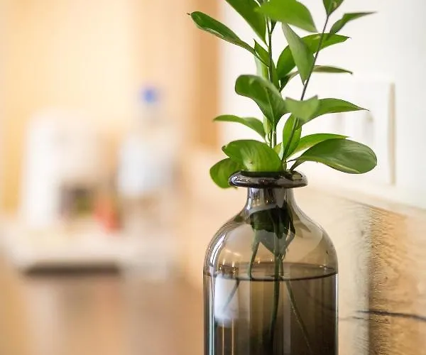 Hotel Western Le Bois De La Marche