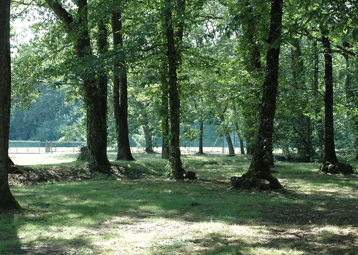 Hotel Western Le Bois De La Marche 3*